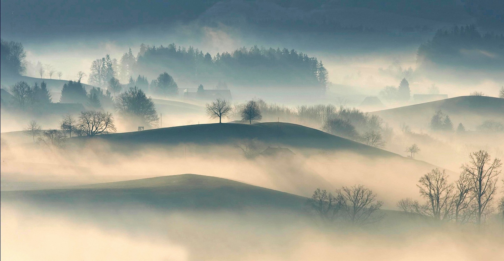 Foto di StockSnap da Pixabay