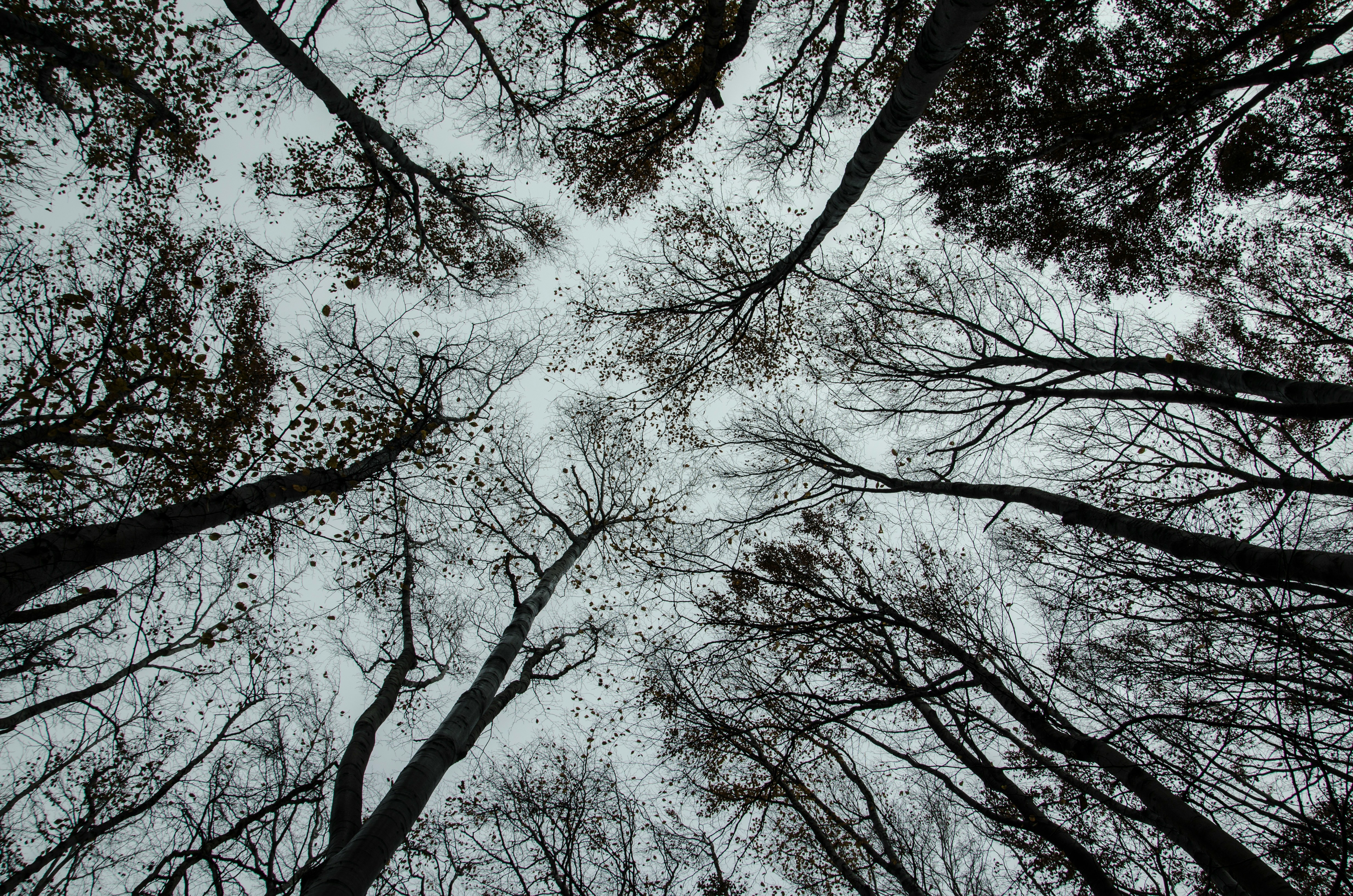 Foto di Sirma Krusteva su Unsplash